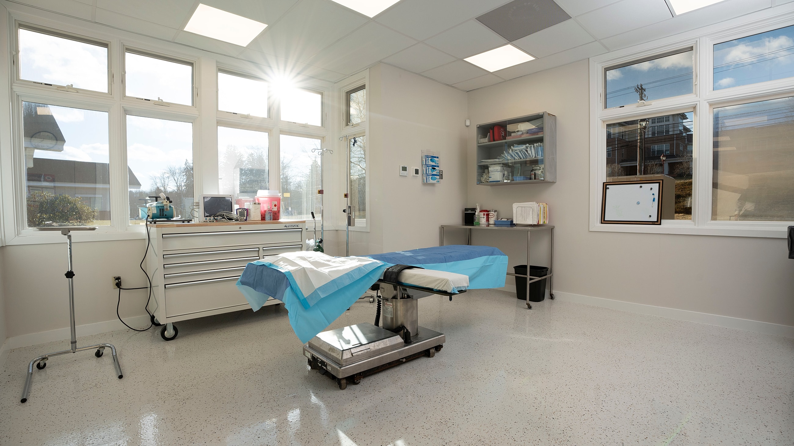 Bright, modern veterinary surgery room interior.