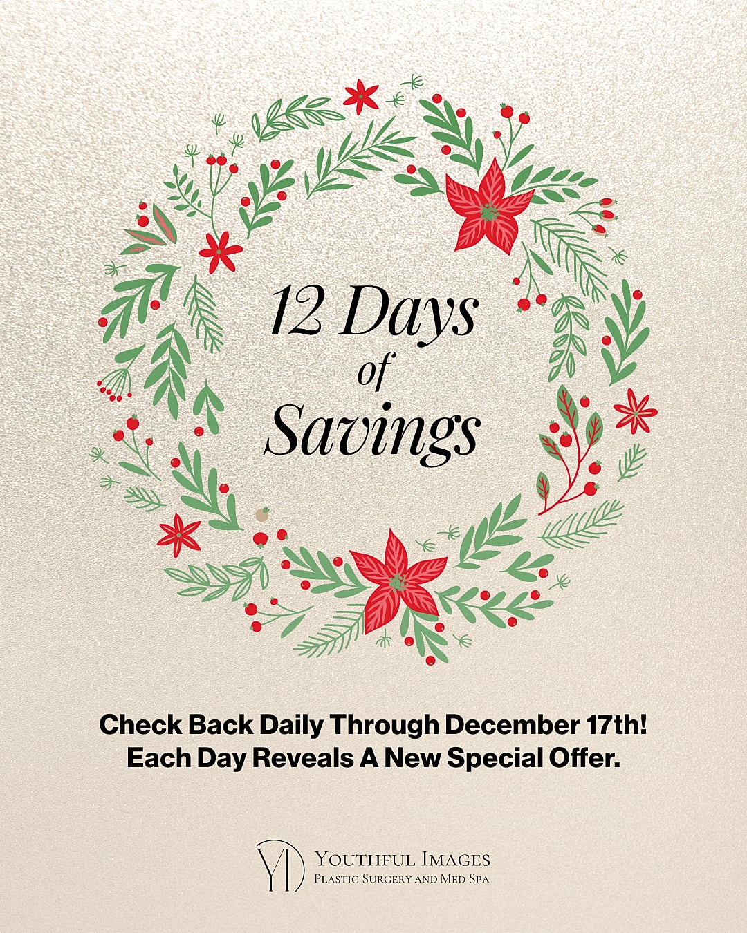 Holiday promotional graphic for plastic surgery savings.